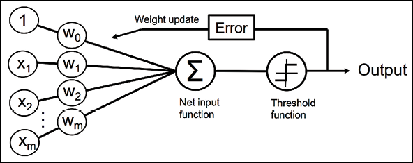 perceptron pic